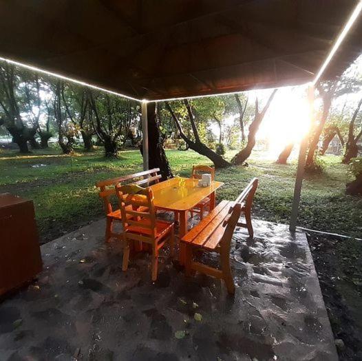 Golden Tree Hotel Oghuz Bagian luar foto